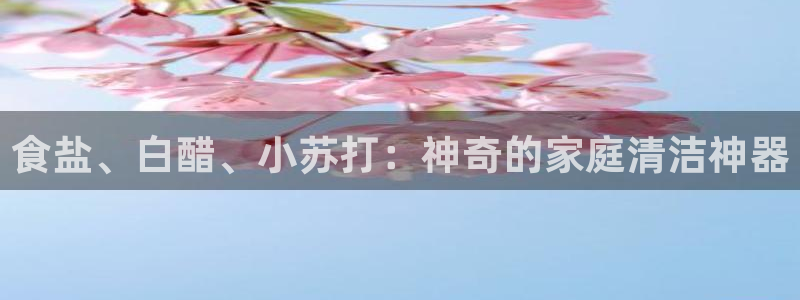 威九国际网站传媒