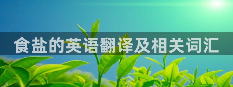 78m.ppt威九国际官网版