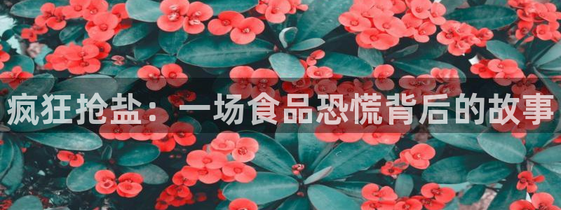 威九国际客服电话号码查询