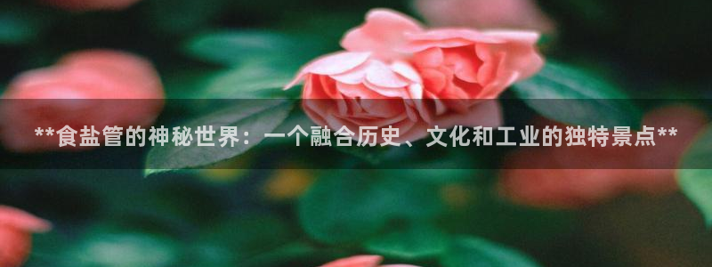 威九国际78mob网页