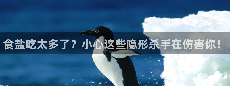 威九国际娜娜