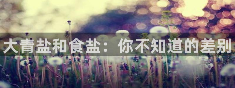 威九国际客服电话号码查询