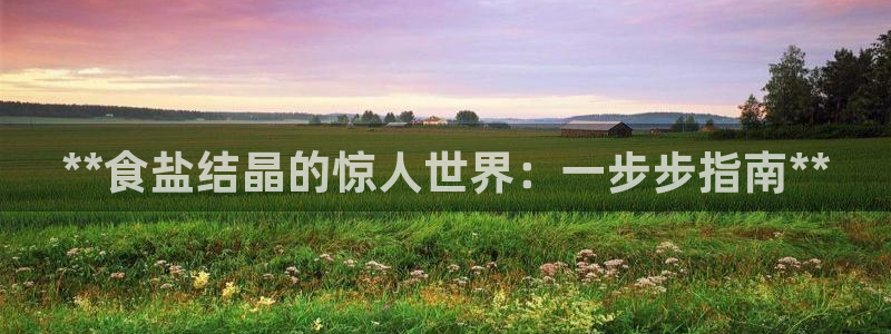 威九国际取款不到账