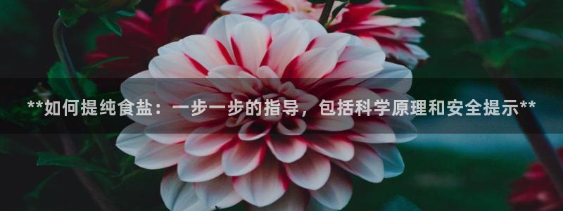 威九国际78mb 视频