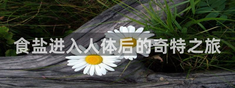 威九国际78mb下载