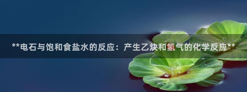 威九国际取款