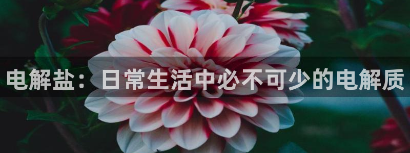 威九国际女儿的朋友
