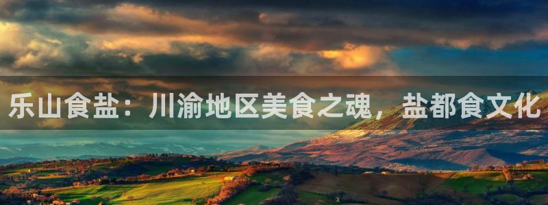 威九国际软件