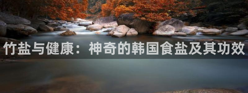 威九国际A