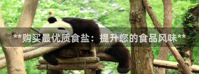 威九国际小广告