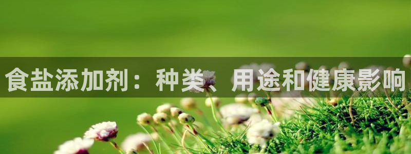 威九国际男主