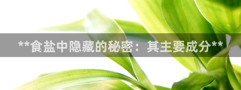 威九国际小剧场