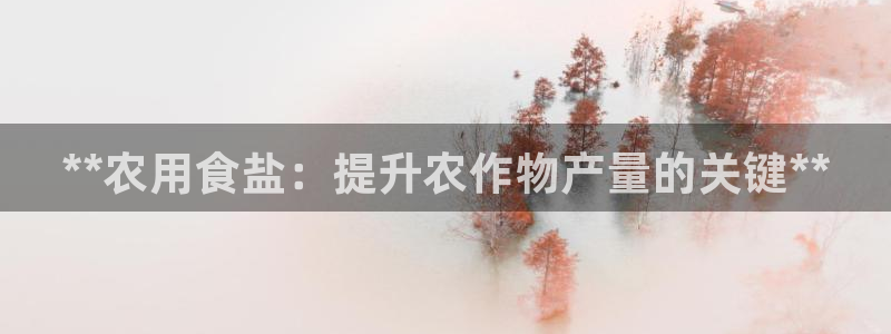 威九国际网站经常打不开网页