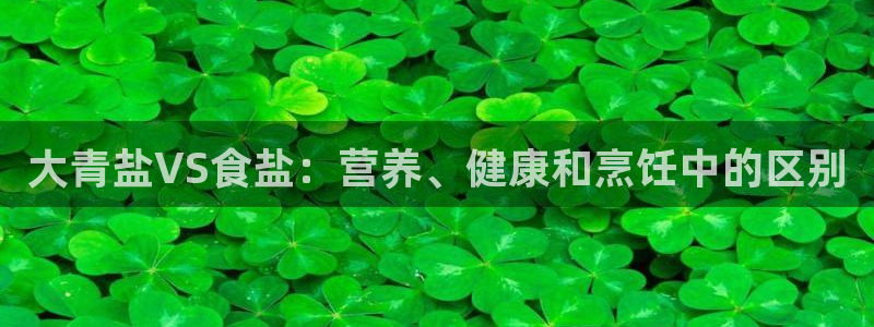 保定威九网络科技有限公司
