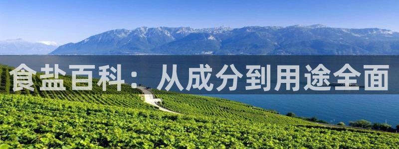 威九国际精忐