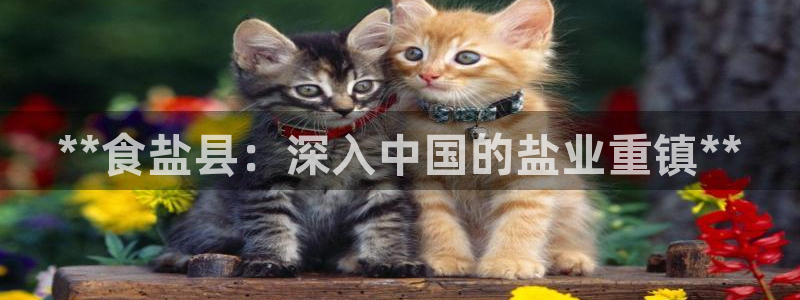 威九国际精忐