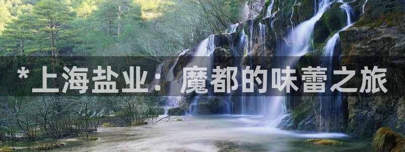 威九国际网站是多少