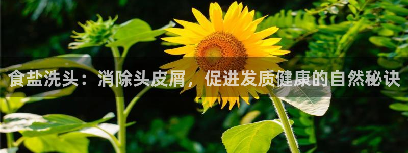 威九国际图片