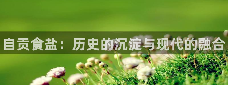 威九国际空降