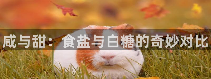 威九国际取款多到账