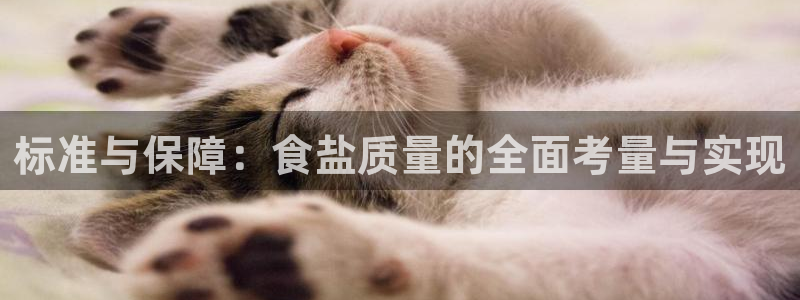 威九国际电影2022年9月月