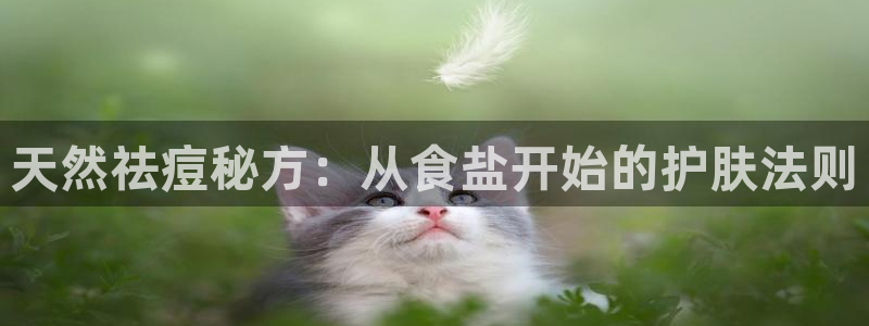 威九国际网站传媒招聘