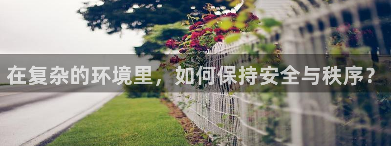 威九国际旗下艺人都有谁