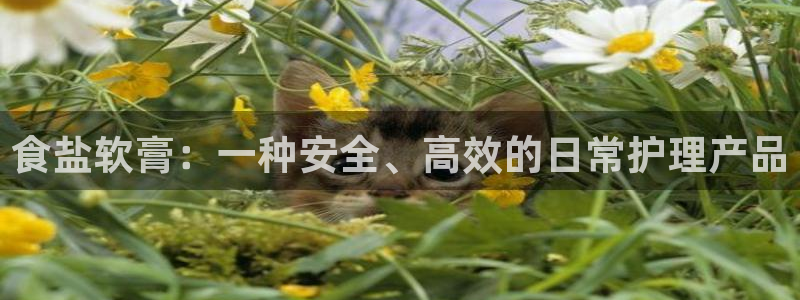 威九国际软件公司简介