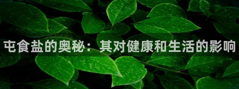 威九国际旗下艺人
