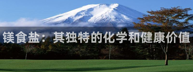 威九国际v96BET