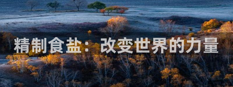 威九国际78m九妹：精制食盐：改变世界的力量
