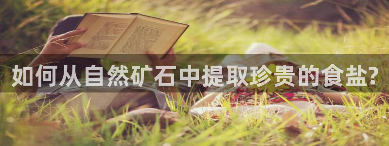 威九国际女孩