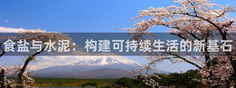 78mapp威九国际人民网