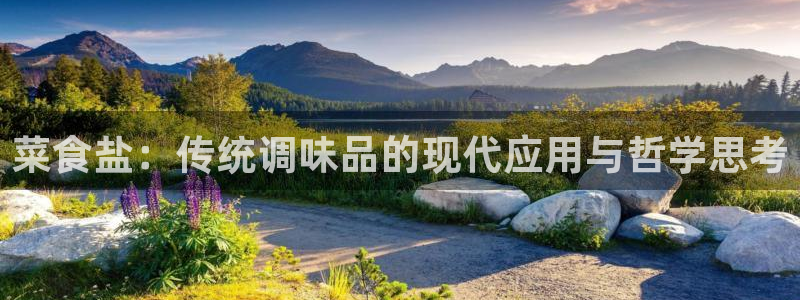 威九国际网站安全吗