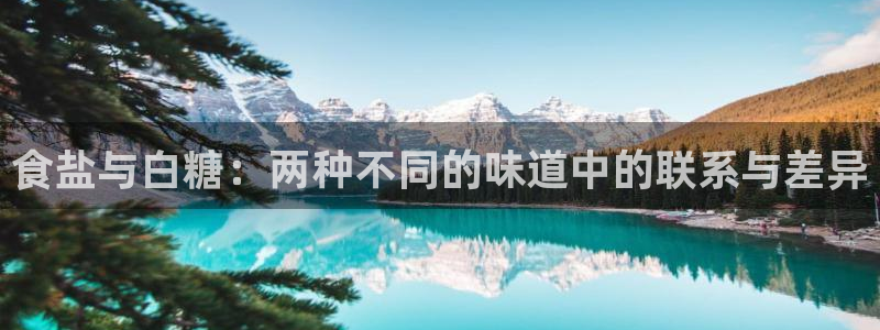 威九国际软件公司简介