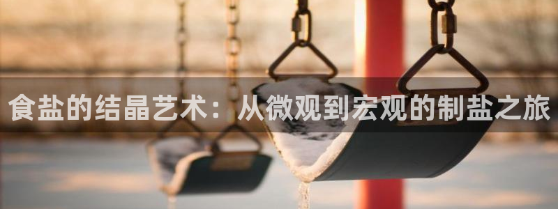 威九国际犯法吗
