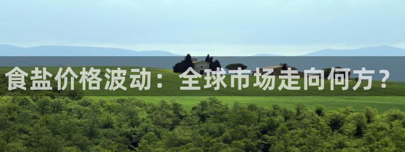 威九国际精选酒店地址：食盐价格波动：全球市场走向何方？
