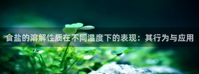 威九国际精彩推荐