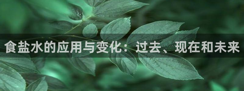 威九国际w98