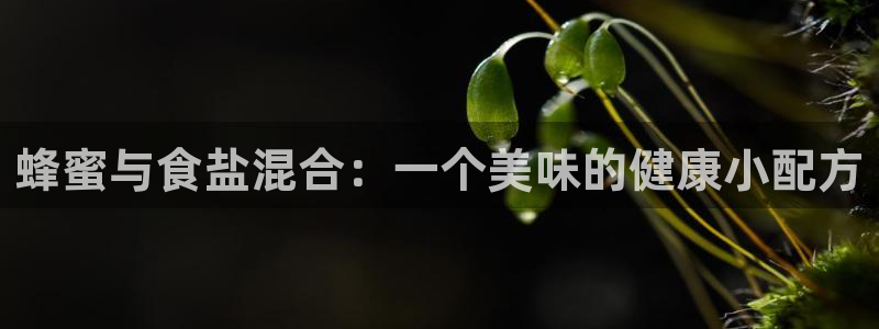 威九国际ppt免费吗