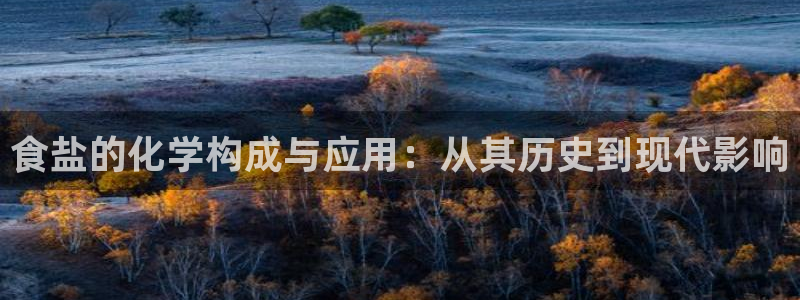 66m威九国际精选